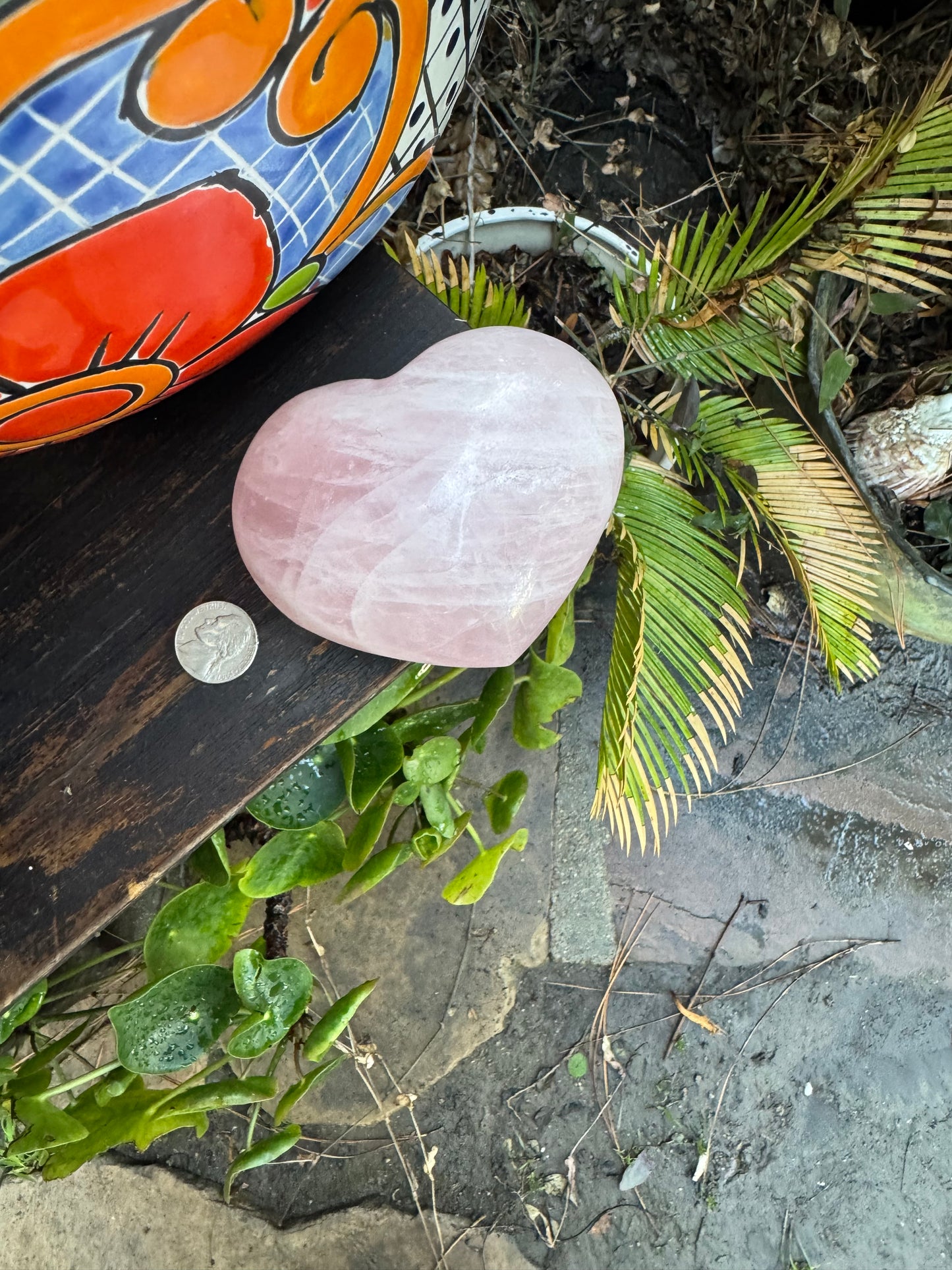 16oz Polished Heart-Shaped Rose Quartz